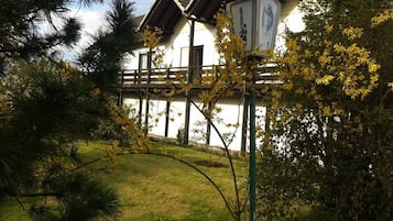 Esterni