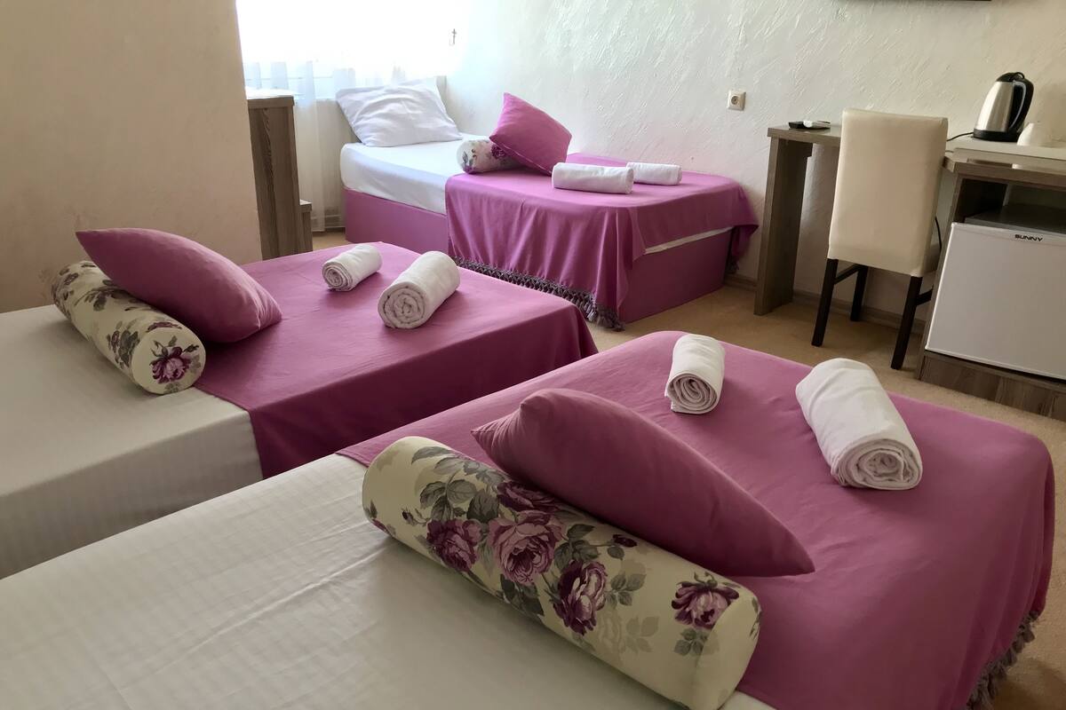 Standard Triple Room | View from room
