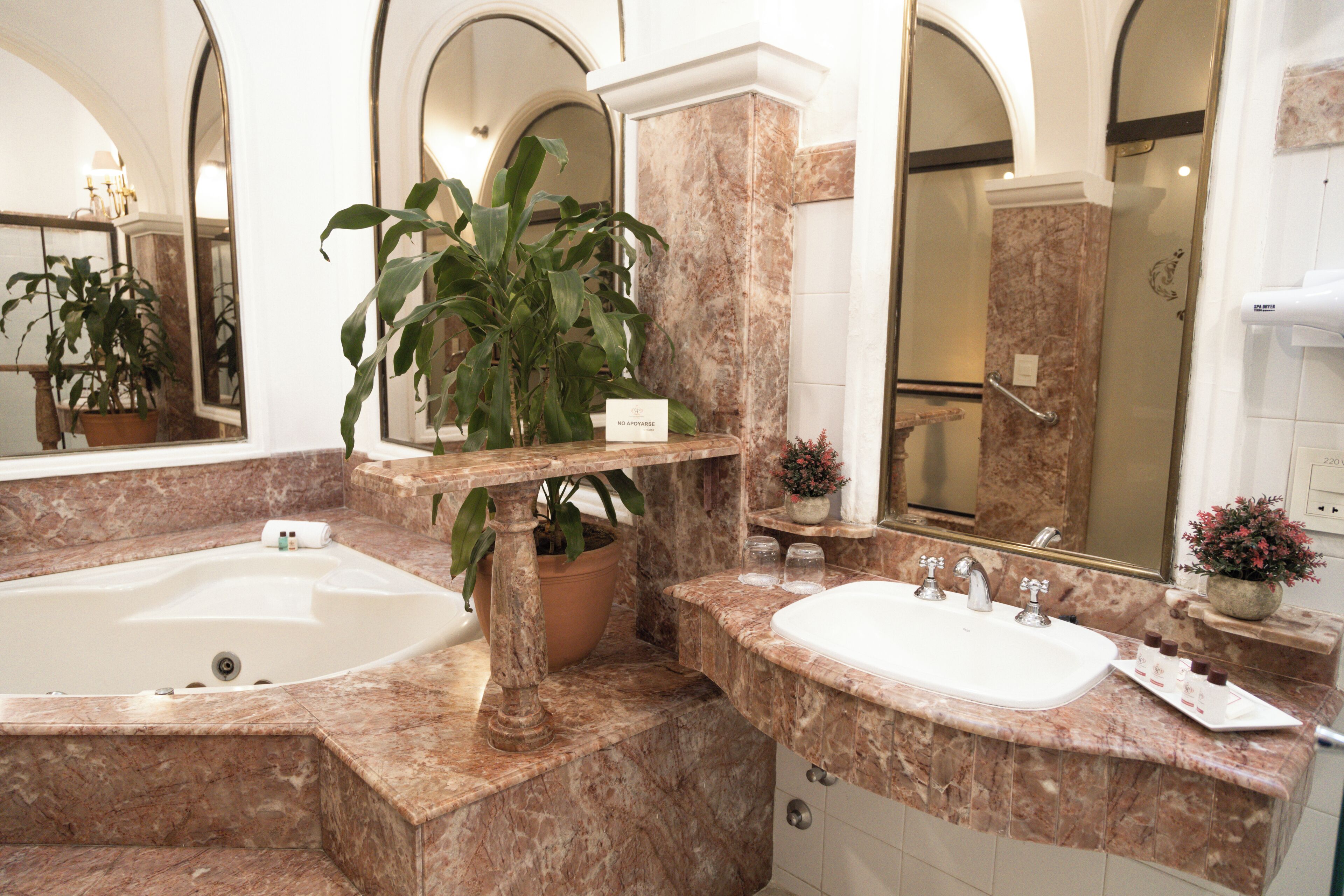 Un baño con una bañera grande, un lavamanos y un espejo. Hay plantas y artículos de aseo en la encimera.
