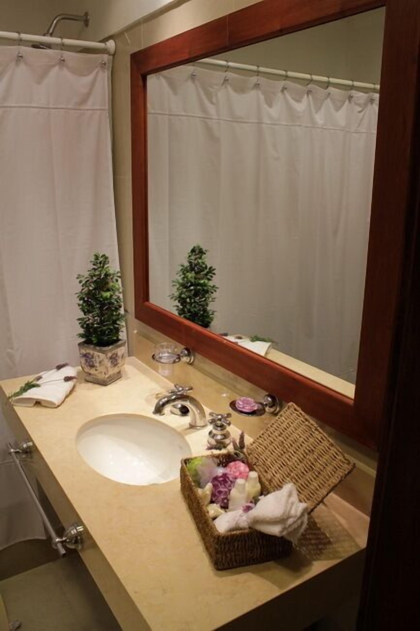 Baño con lavamanos, espejo y cortina de ducha.