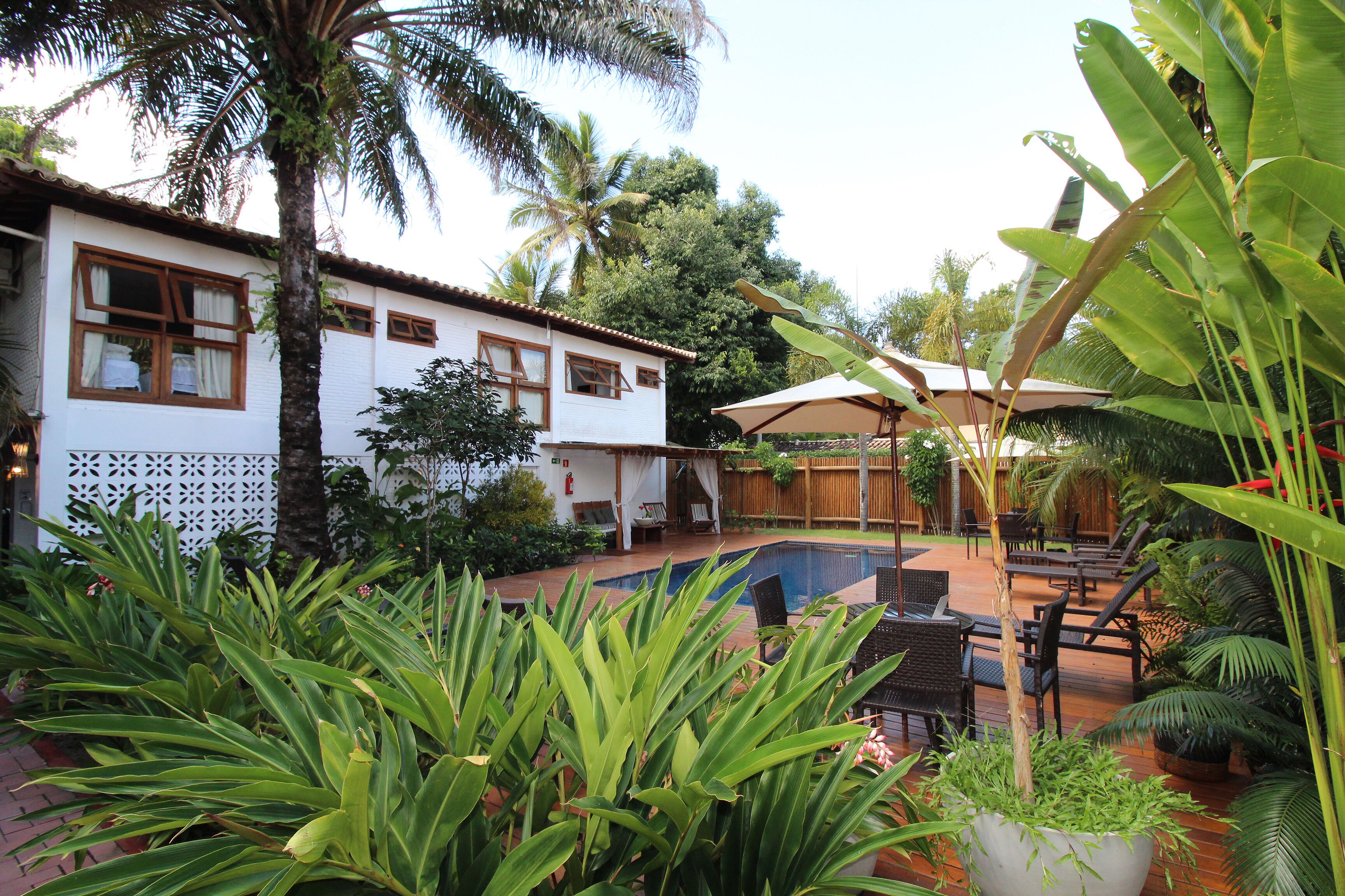 A house with a pool, surrounded by lush greenery and palm trees.