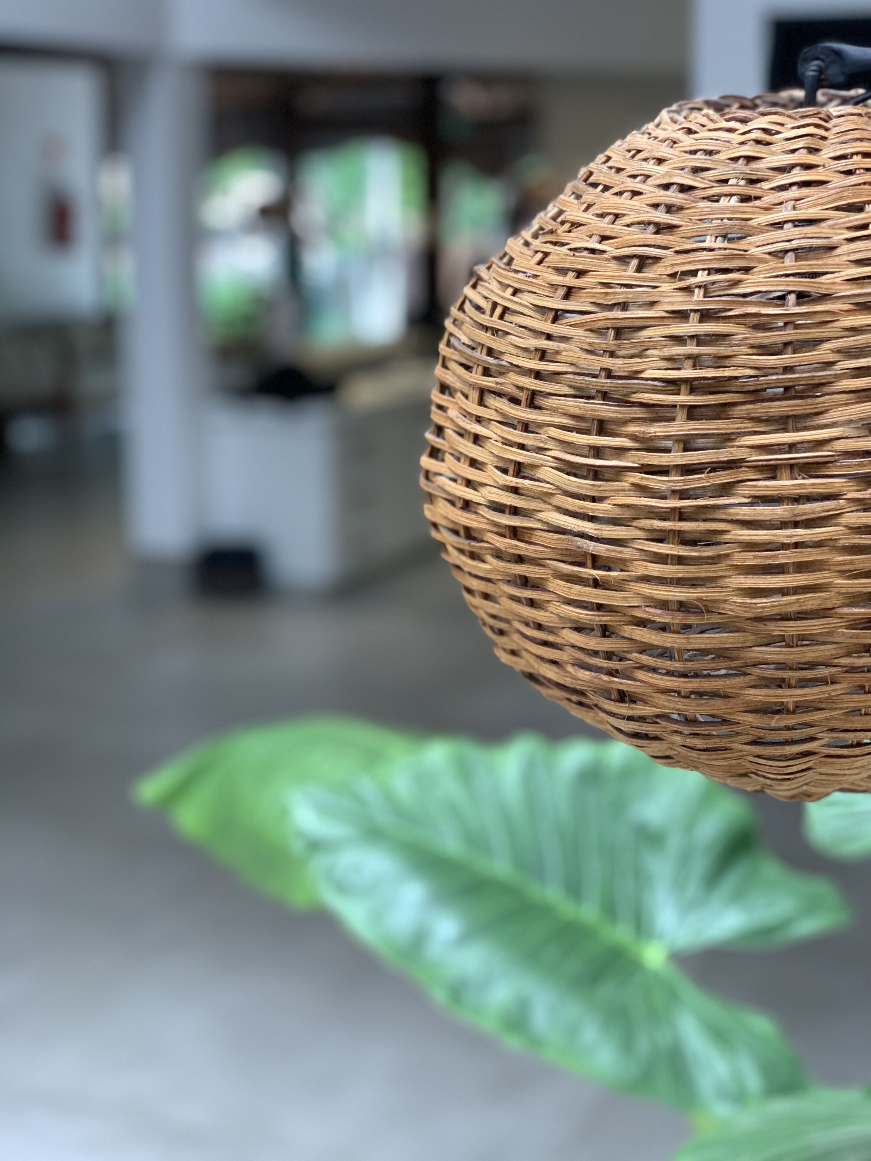 Foto - Pousada Cheiro Verde