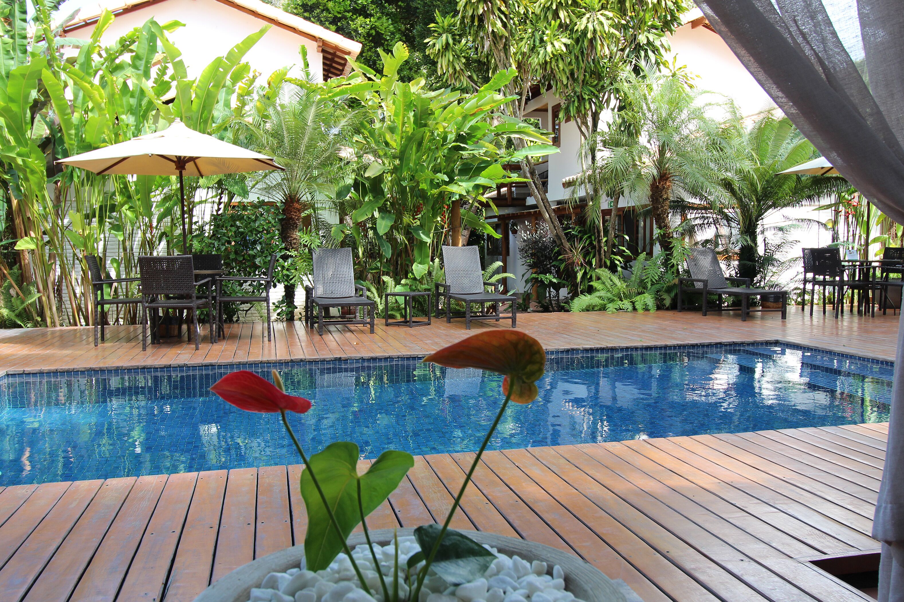 Foto - Pousada Cheiro Verde