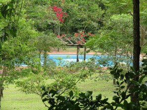 A pool surrounded by lush greenery and trees. - Ytororo Lodge (Dos de Mayo)