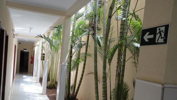 A hallway with a directional sign, white tiled flooring, and tall bamboo plants. - Hotel Premier (Campo Grande)