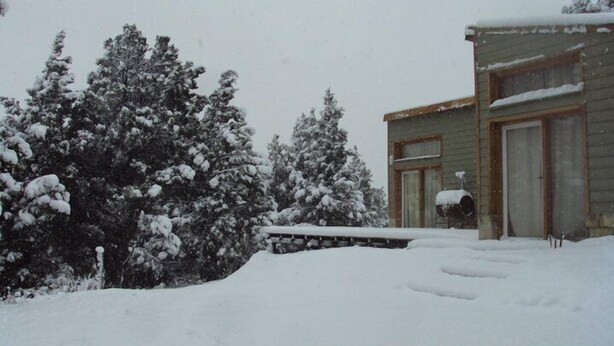 Paisatge cobert de neu amb una casa i arbres.