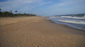 Ampia spiaggia sabbiosa con impronte che conducono all'acqua, palme sullo sfondo e cielo sereno.
