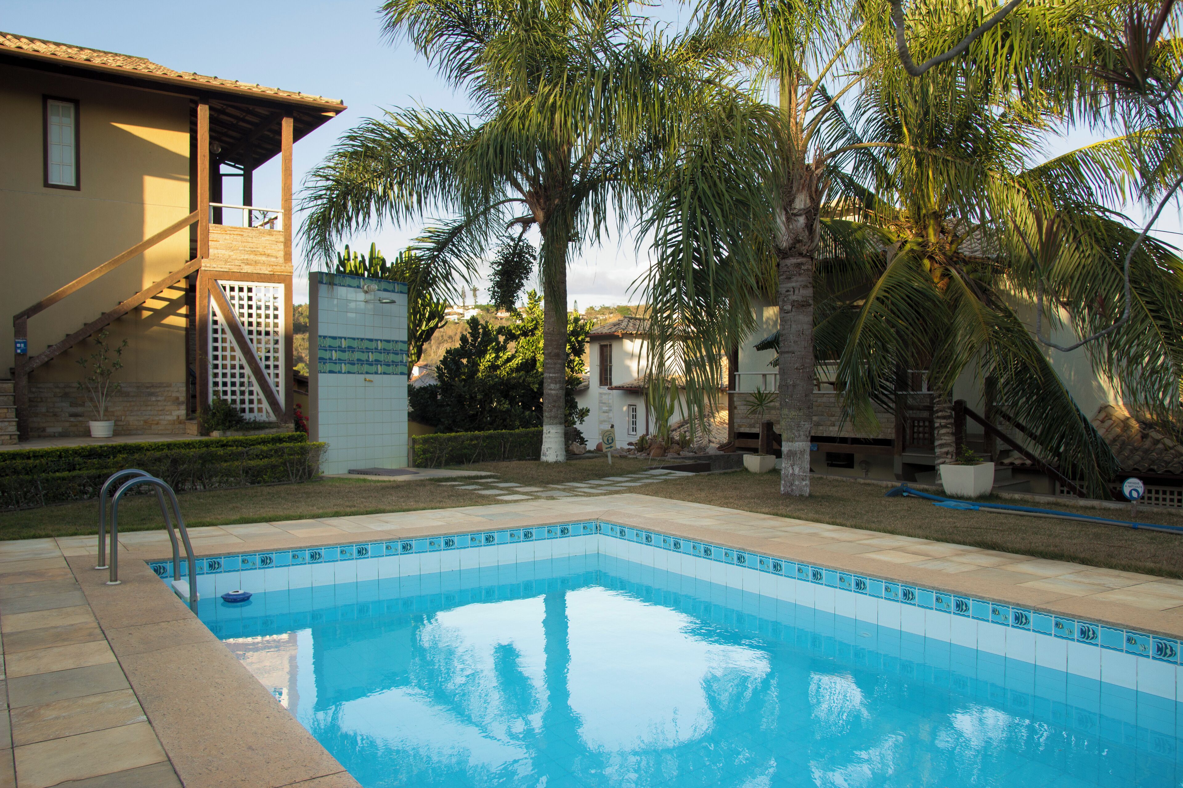 Una piscina amb vores de rajola, una terrassa de fusta i palmeres.