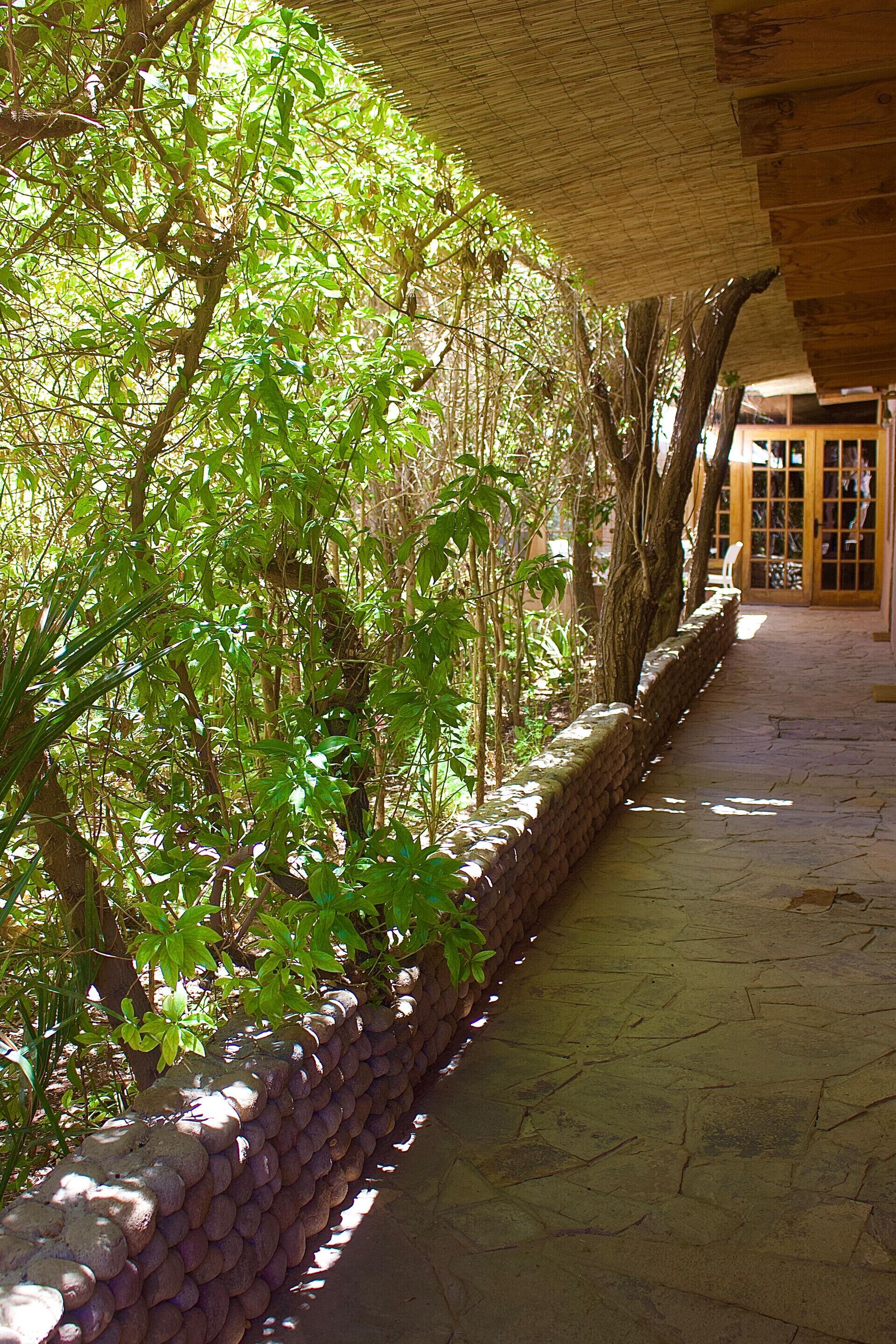 Detalle del exterior