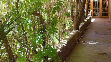 Detalle del exterior