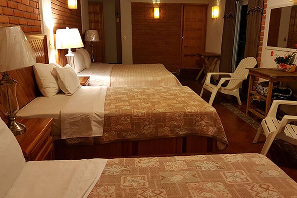 A hotel room with two beds, a desk, a chair, and a small table with a plant.