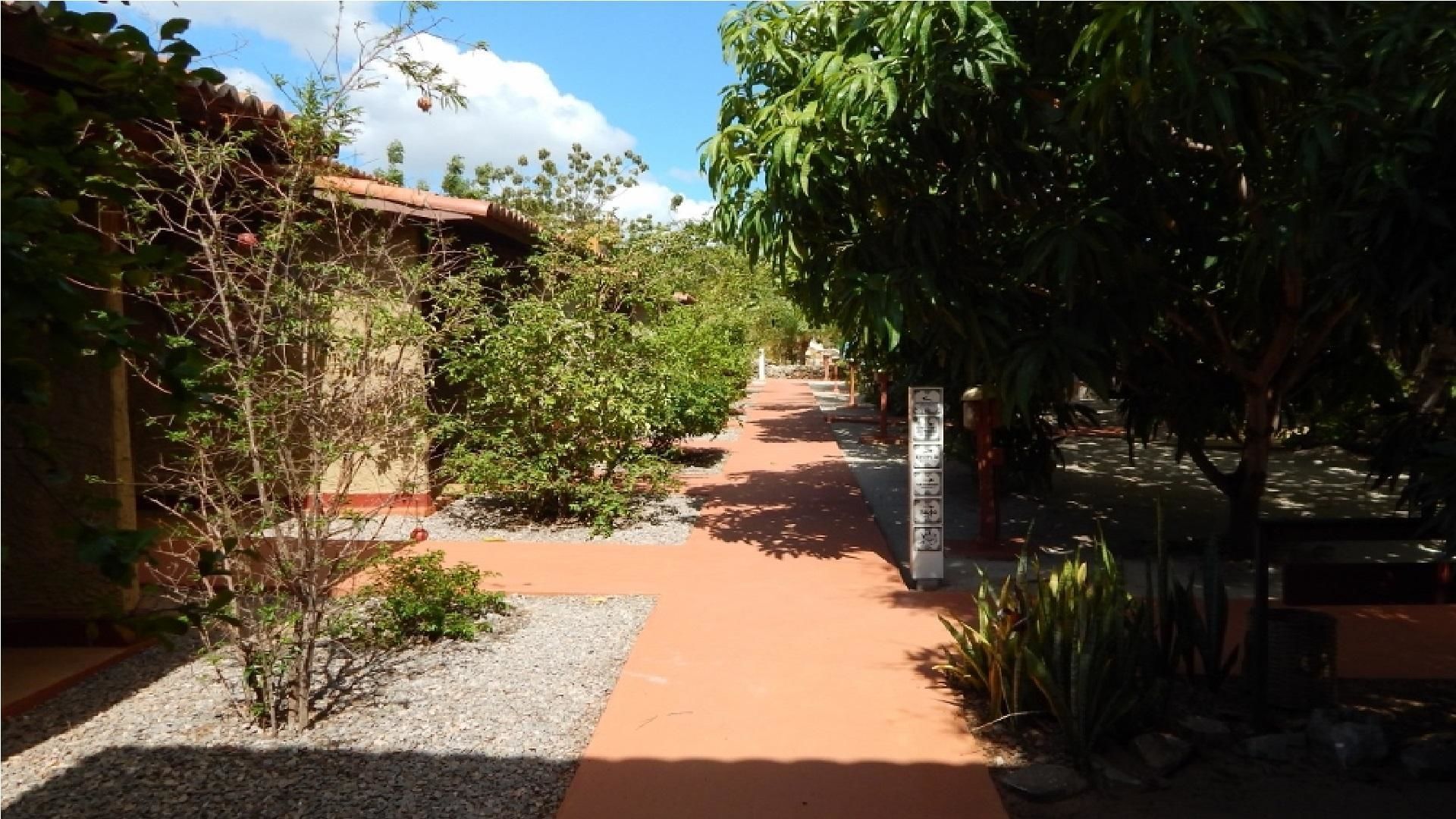 A pathway leading through a courtyard with a tiled floor, surrounded by greenery and a building with a tiled roof.