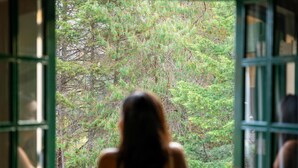 A view through a window with a person visible inside. - Castelo Piazzale by Concavus (Campos do Jordao)