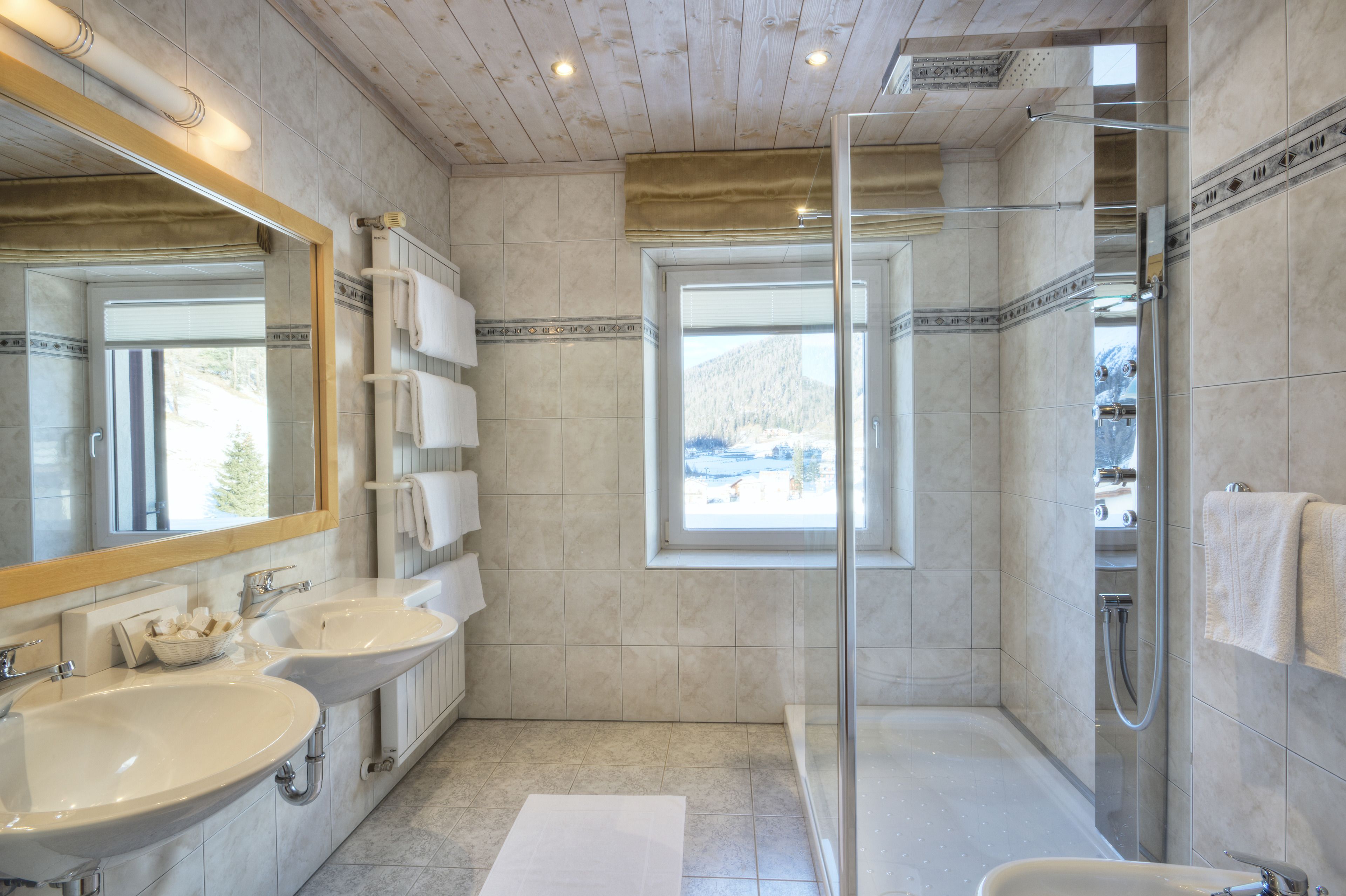suite (ortlersuite) | bathroom | shower, free toiletries