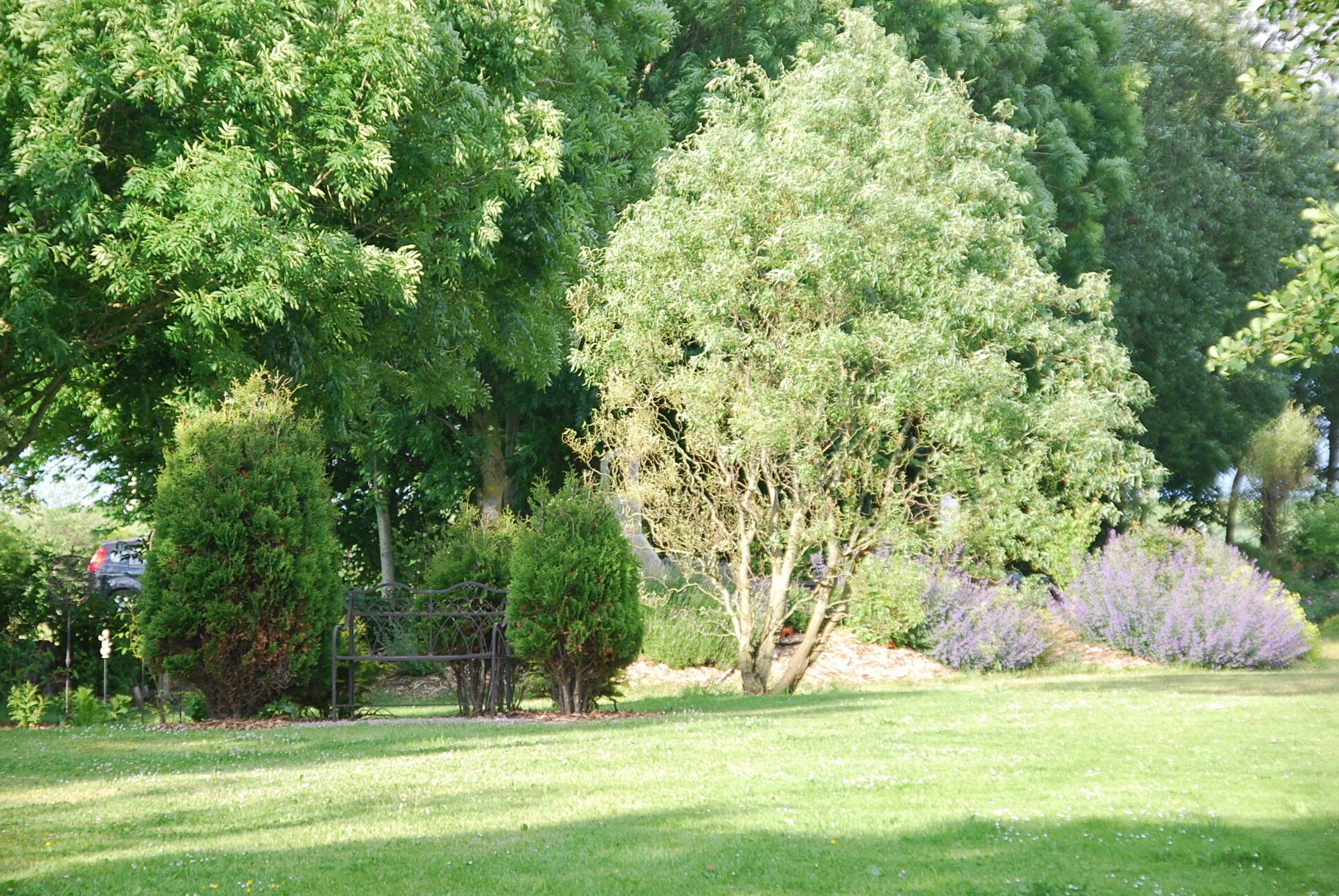 comfort cottage, 1 bedroom, non smoking, garden area | garden view