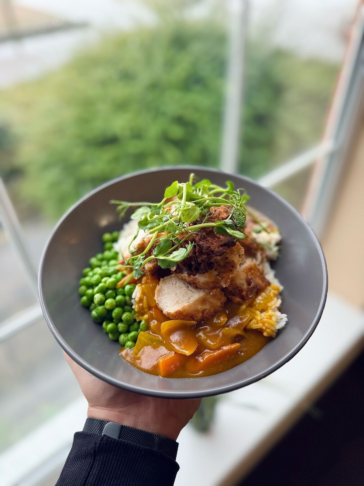 A person holding a plate of food with peas, carrots, and a meat dish, viewed from a window overlooking greenery.