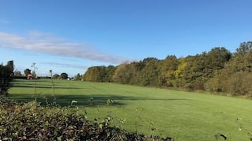 A golf course with a clear sky, a well-maintained green, and a line of trees in the background.