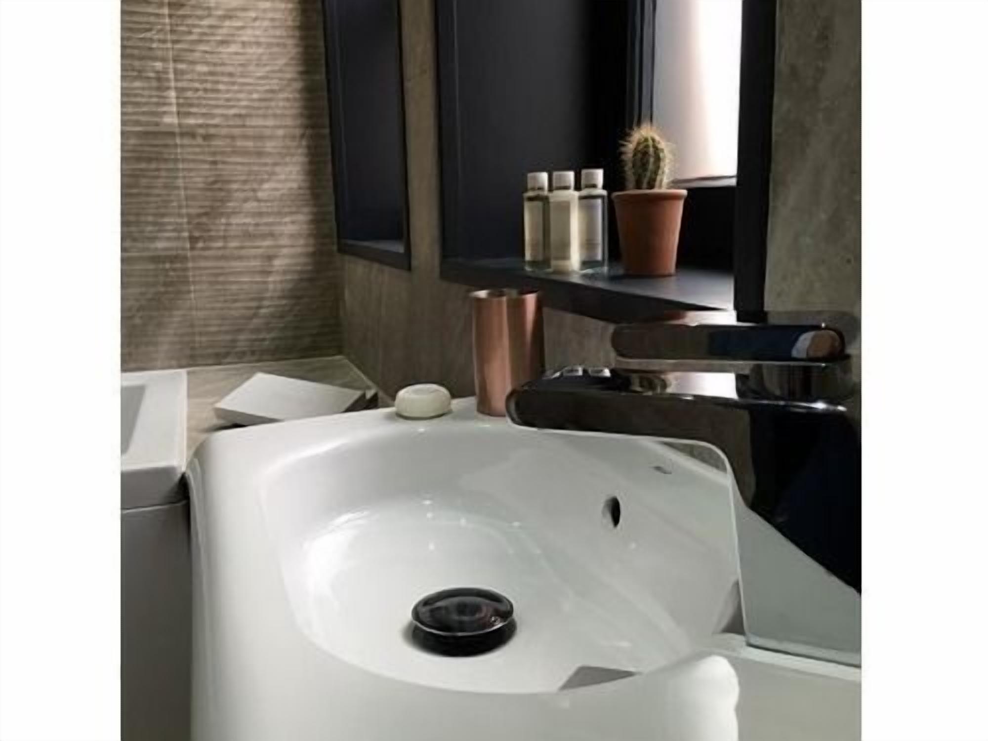 A modern bathroom with a white sink, a mirror above it, and a small potted plant on the countertop.