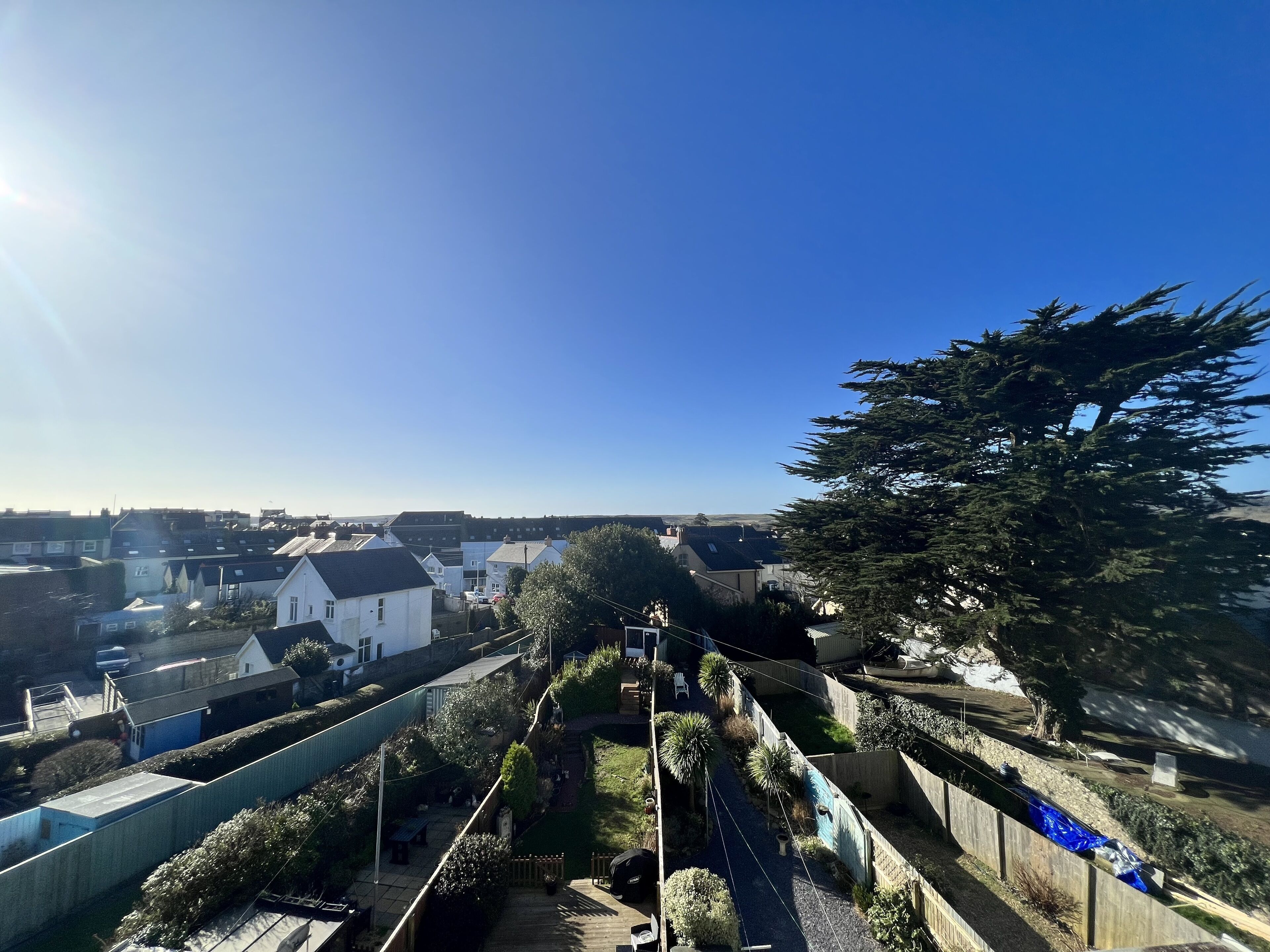 A residential area with houses, a large tree, and a clear blue sky.