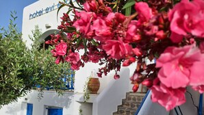 Un bâtiment blanc avec une porte bleue, un escalier en pierre et des fleurs roses au premier plan.