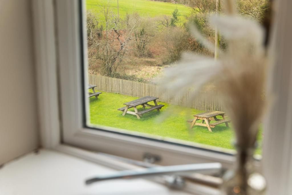 A window with a view of a grassy area and two picnic tables.