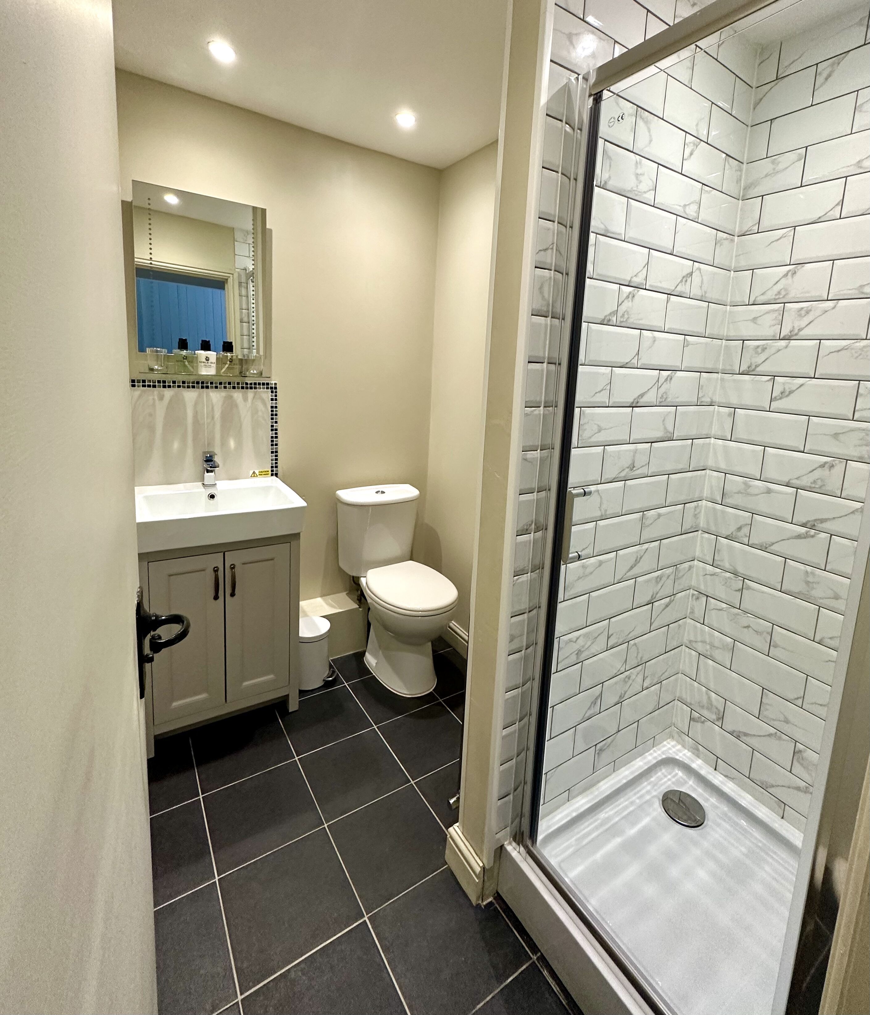 Een badkamer met een wit wastafelmeubel, twee toiletten, een douchecabine met glazen wanden en een spiegel boven de wastafel.