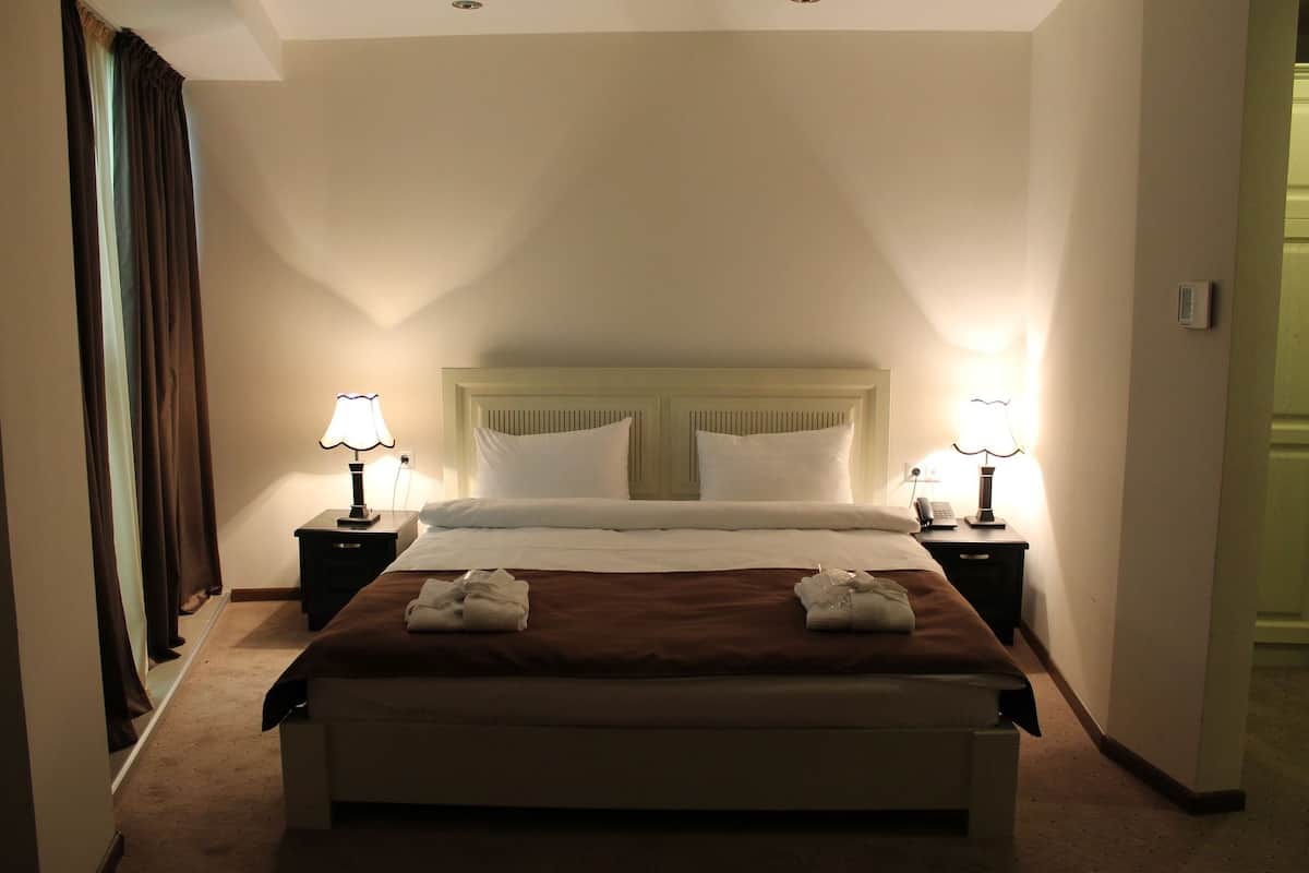 Standard Double Room | Minibar, desk, rollaway beds (surcharge), WiFi (free)
