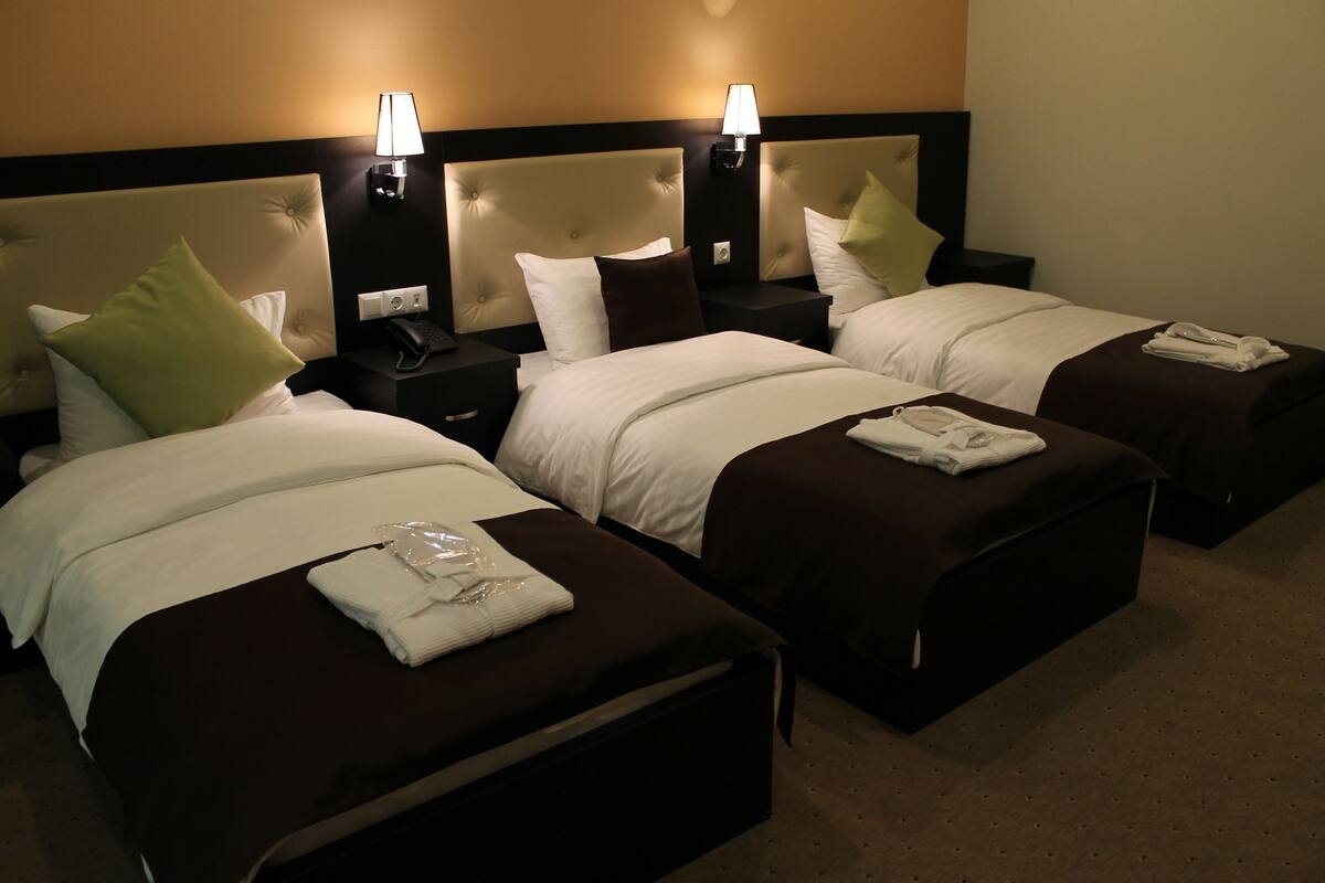 Standard Triple Room | Minibar, desk, rollaway beds (surcharge), WiFi (free)