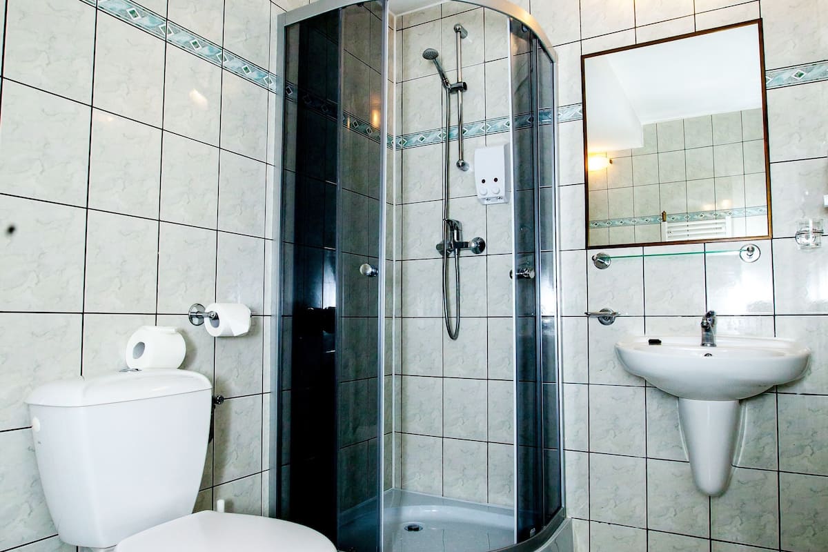single room | bathroom | shower, hair dryer, towels