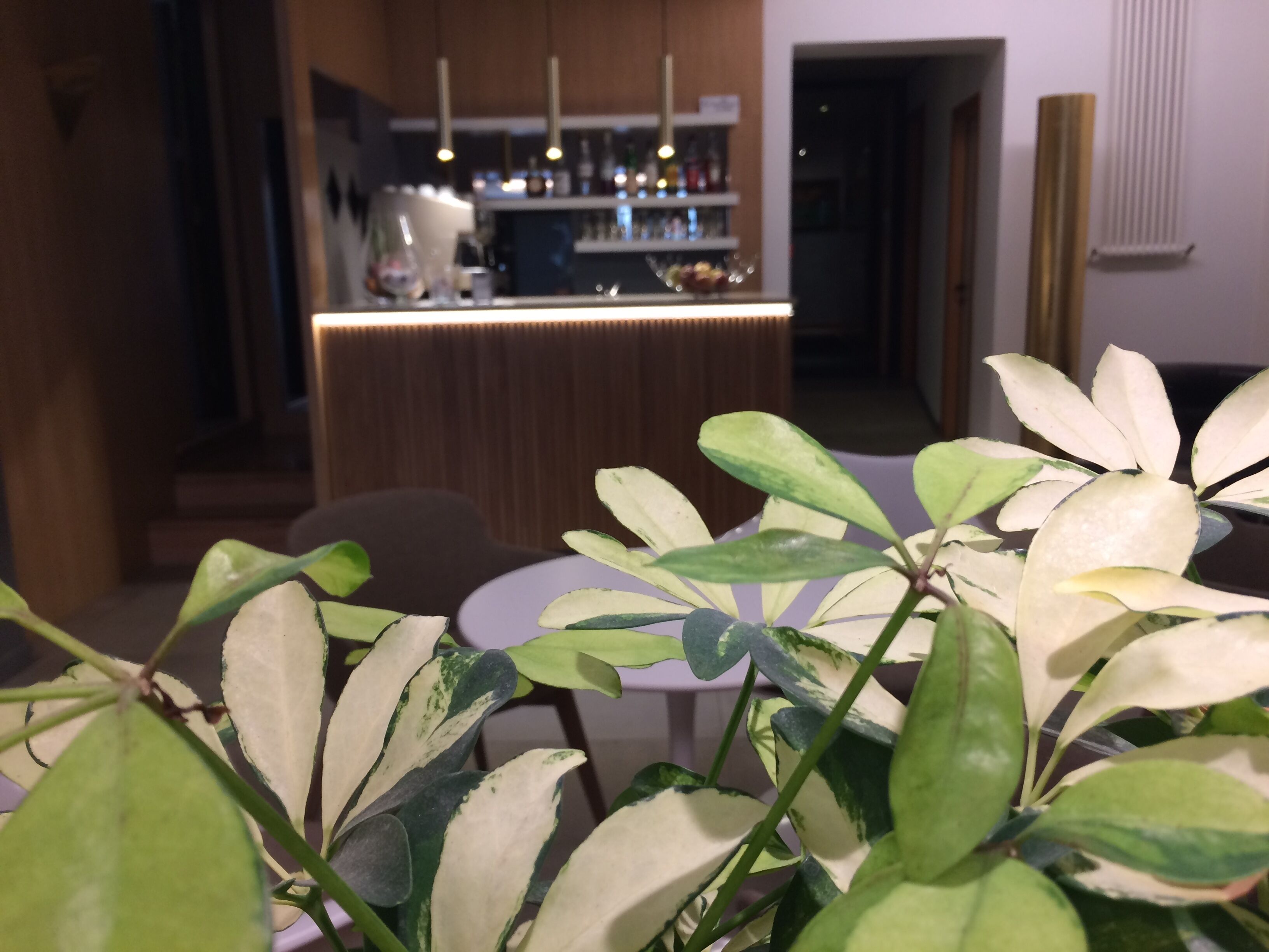 standard double or twin room | room service – dining