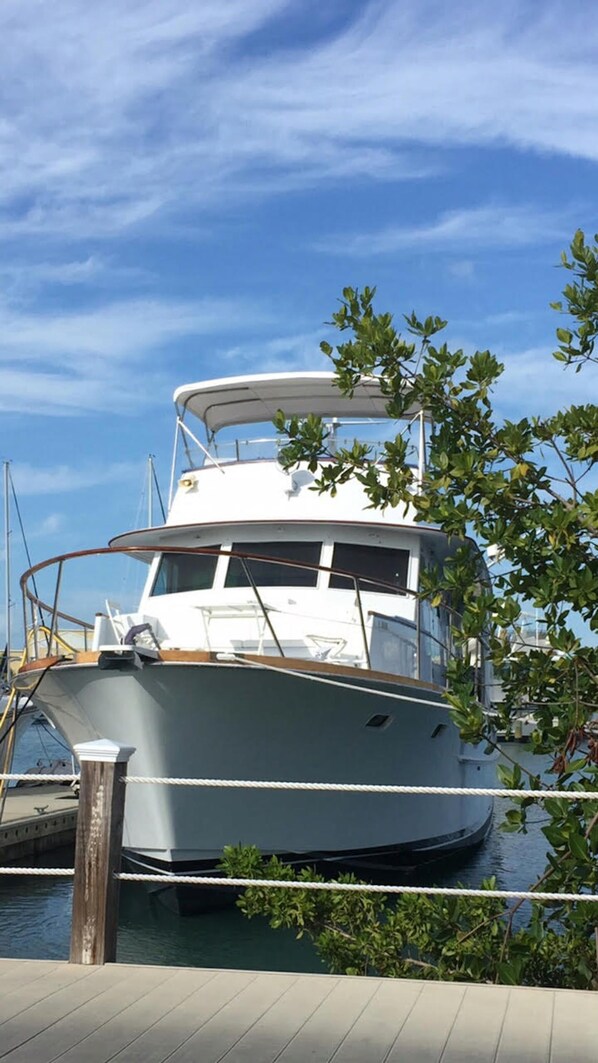 Miscellaneous - Key West Yacht Life (Key West)