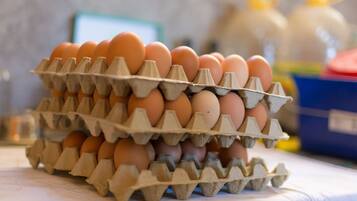 A carton of eggs on a table.