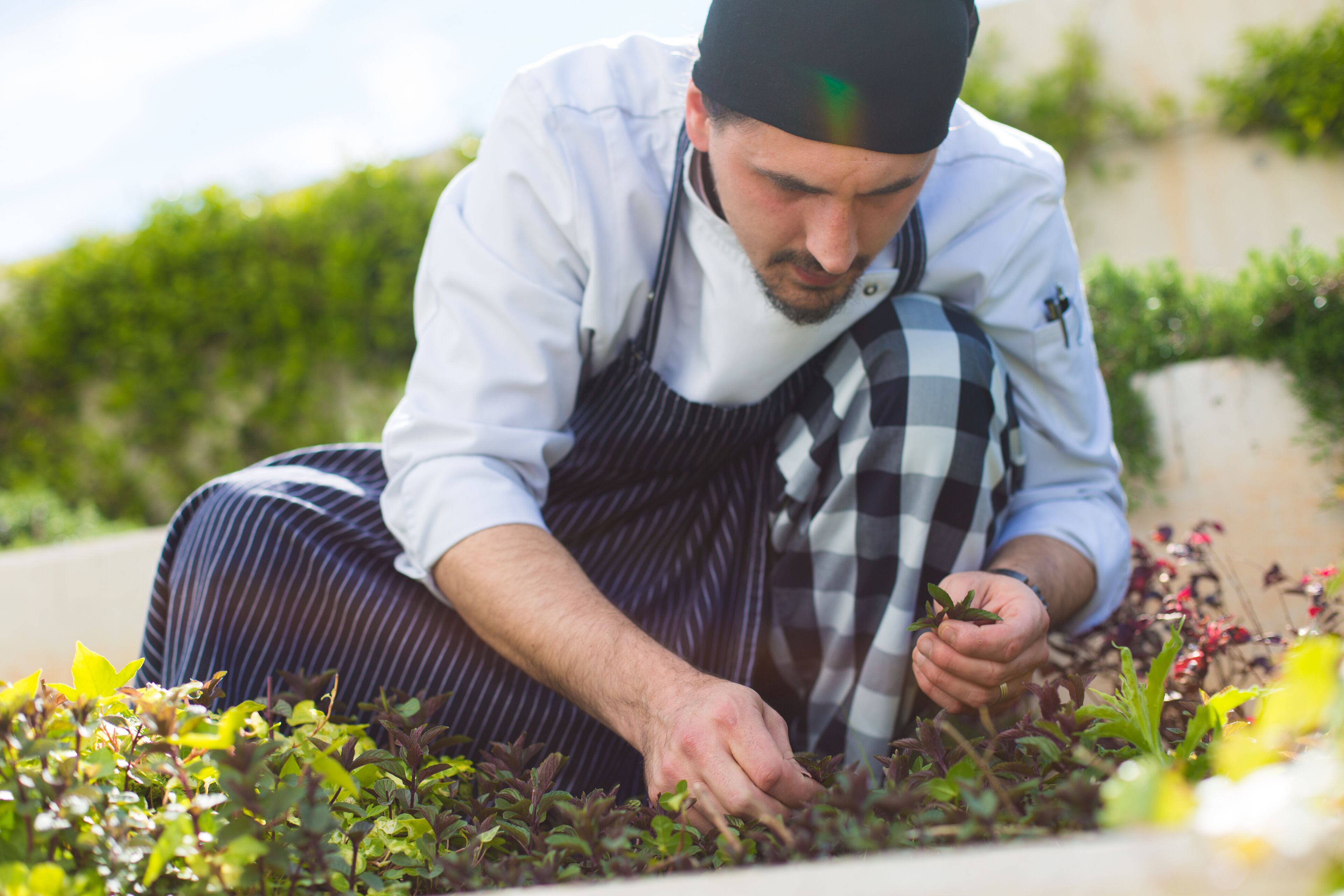 A person tending to plants in an outdoor setting.