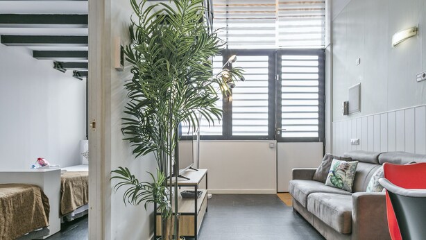 A modern living room with a grey sofa, a red accent chair, and a large potted plant. - Alcam Futbol (Barcelona)