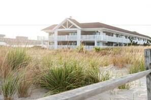 Exterior - ICONA Avalon (Avalon)