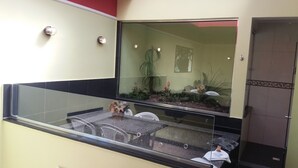 A glass-enclosed balcony with a view of a plant arrangement and a small statue. - Motel dos Arcos (Porto Alegre)