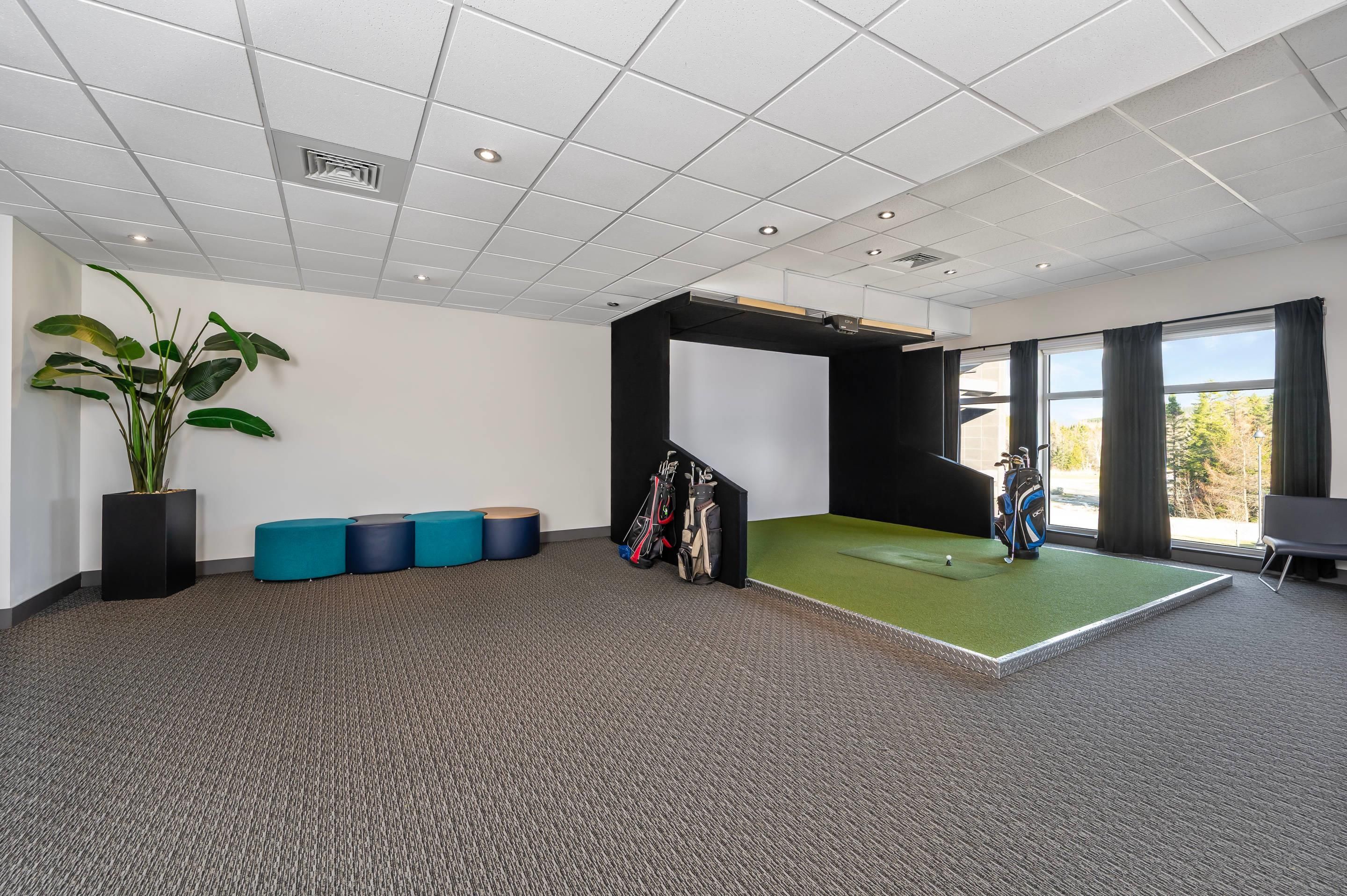 A room with a green artificial turf area, a black partition, and a large window with curtains.