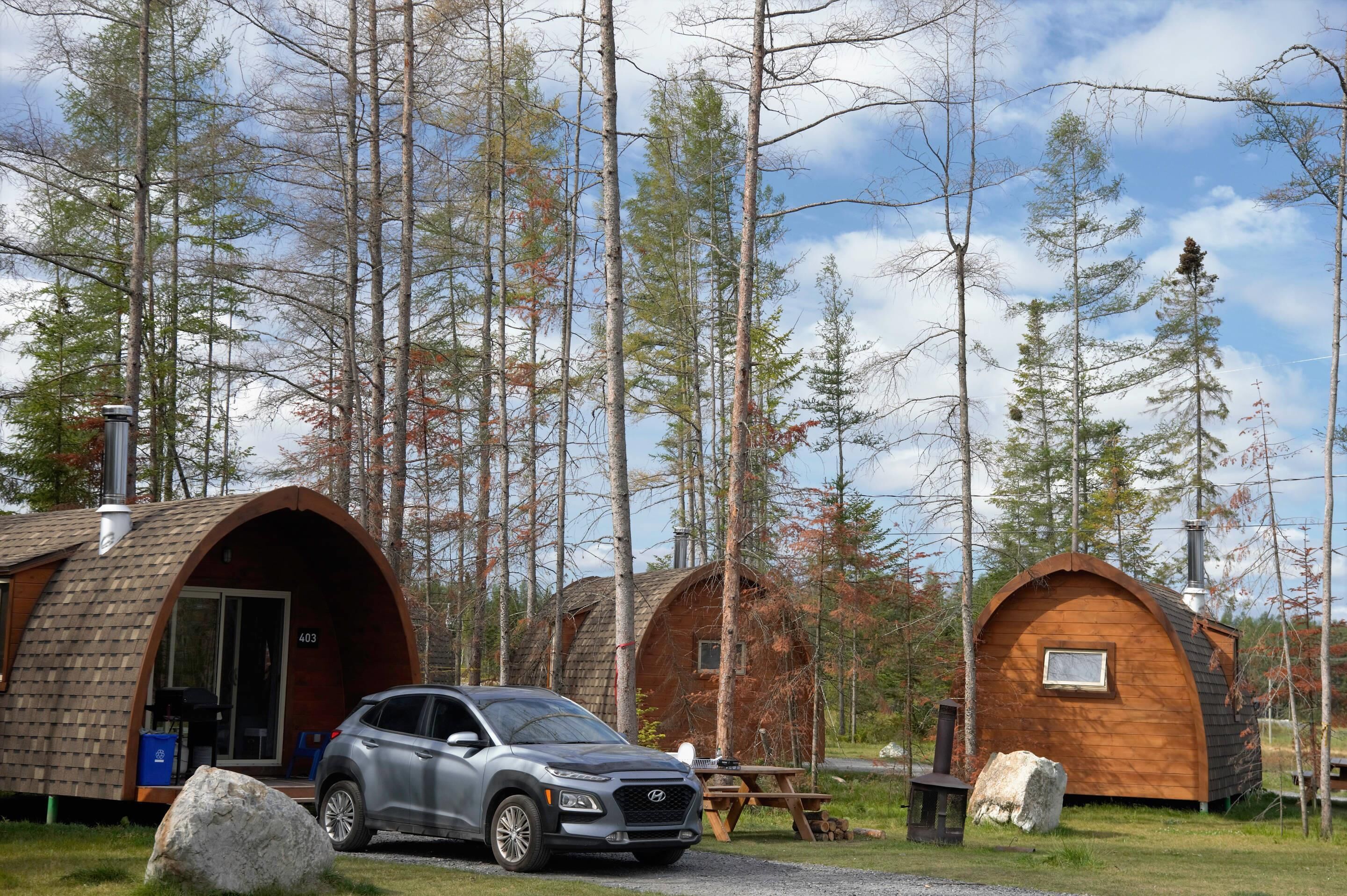 A cabin with a car parked in front, surrounded by tall trees.