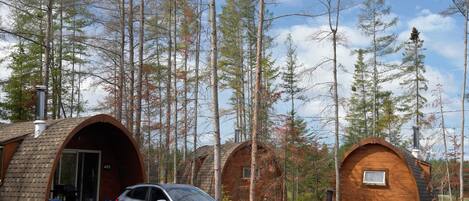 A cabin with a car parked in front, surrounded by tall trees.