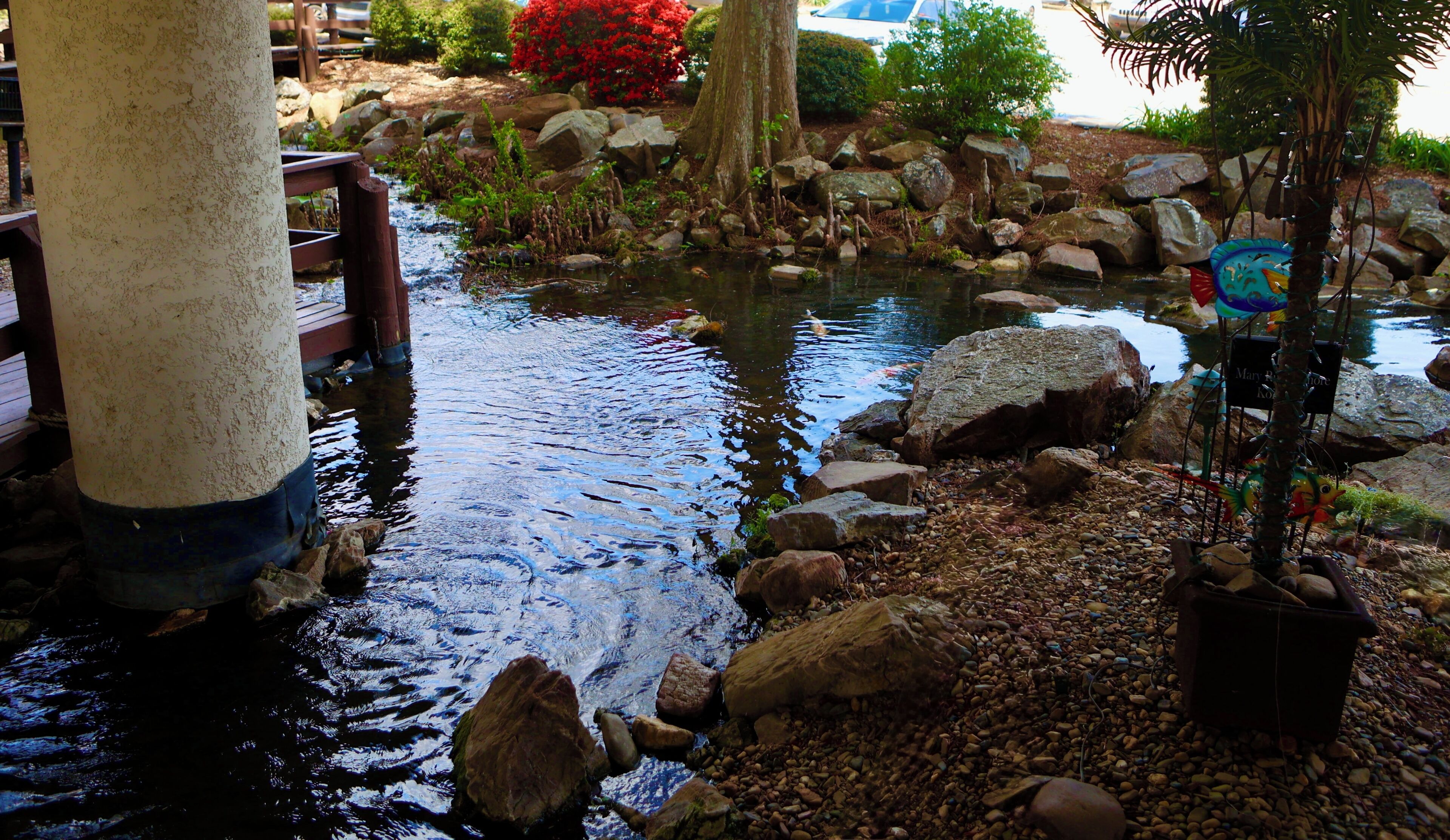 A tranquil garden with a small stream, rocks, and a wooden bridge.