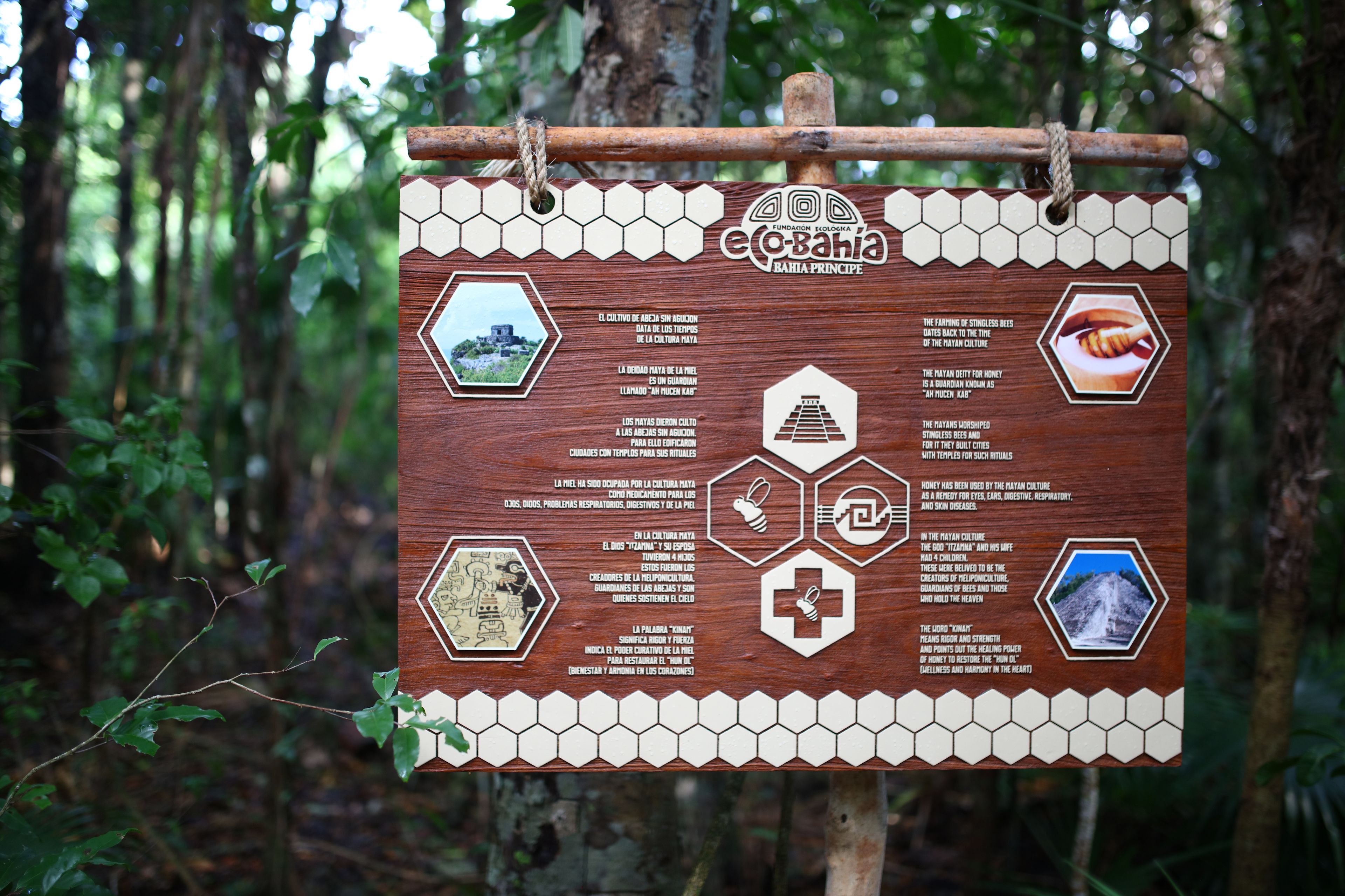 Foto - Bahia Principe Fantasia Punta Cana - All Inclusive