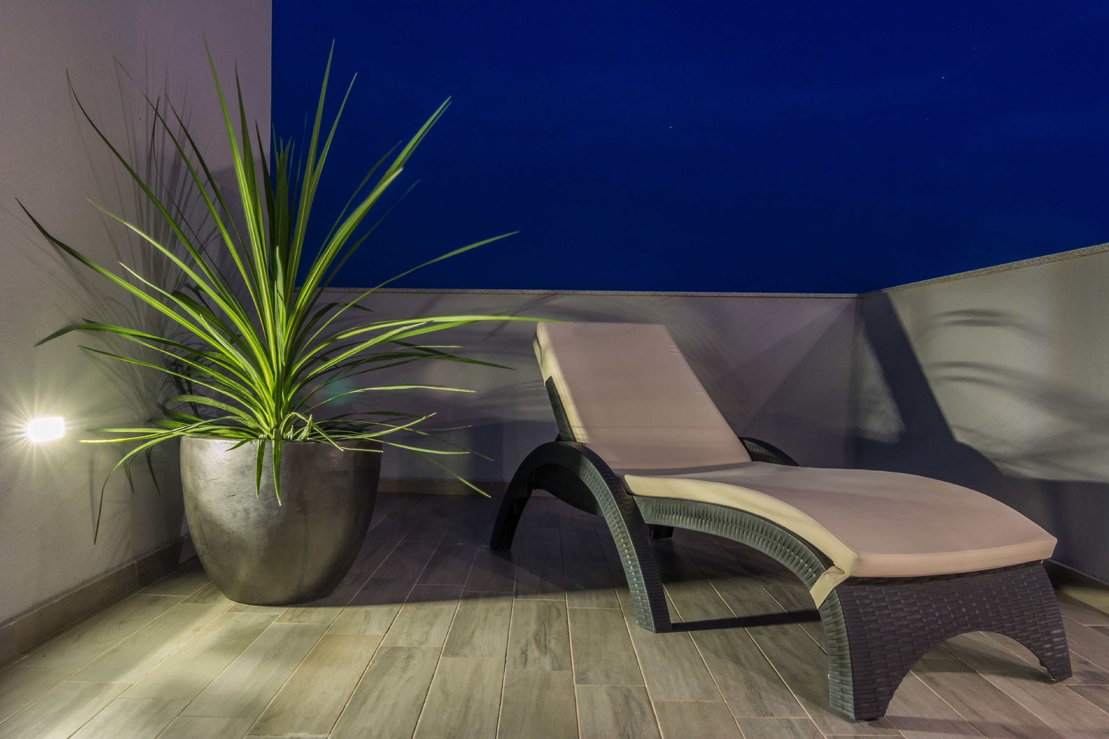 A lounge chair with a cushioned seat and backrest, positioned next to a large potted plant with long green leaves.