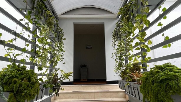 A corridor with a curved ceiling, tiled floor, and walls adorned with hanging plants.