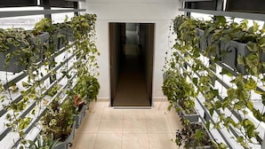 A corridor with a tiled floor, flanked by vertical plant planters on both sides, leading to a doorway.