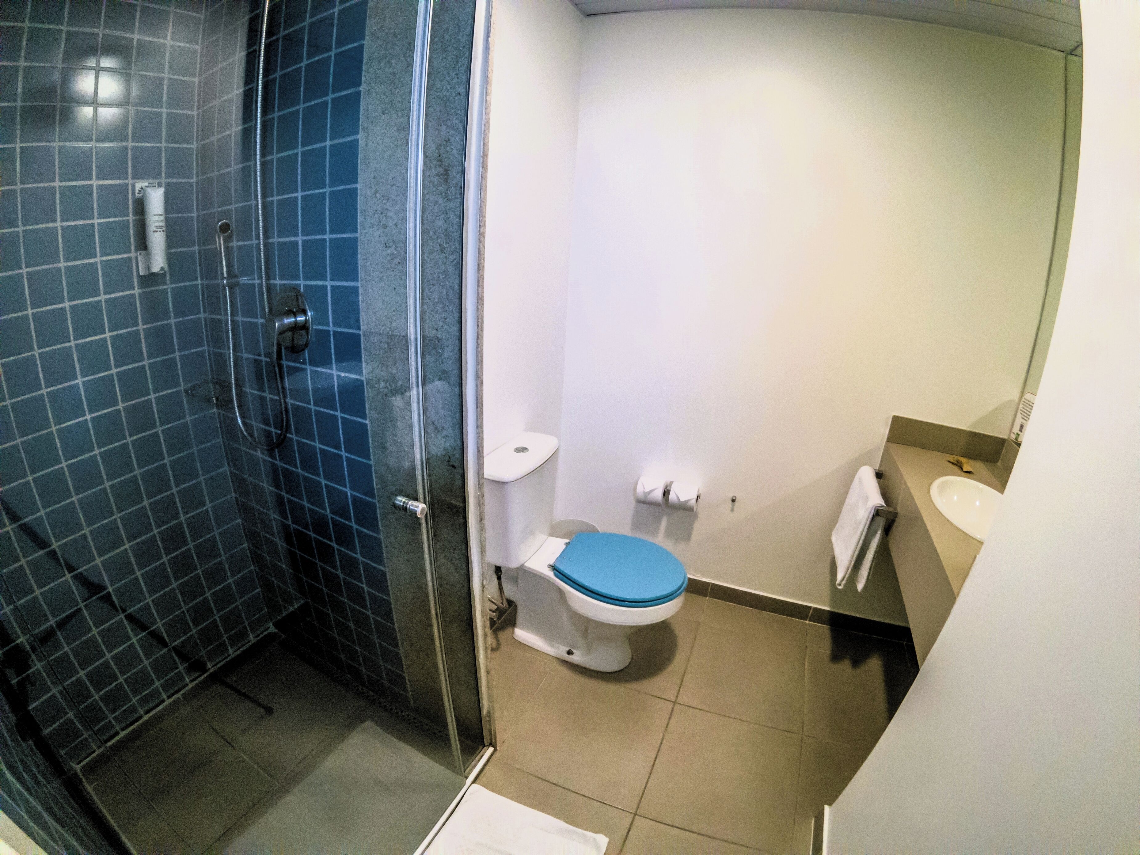 shower, eco-friendly toiletries, hair dryer, towels