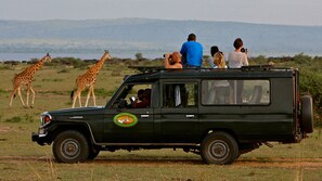 Safari - Paraa Safari Lodge (Paraa)
