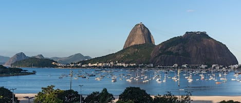 Vista desde la habitación