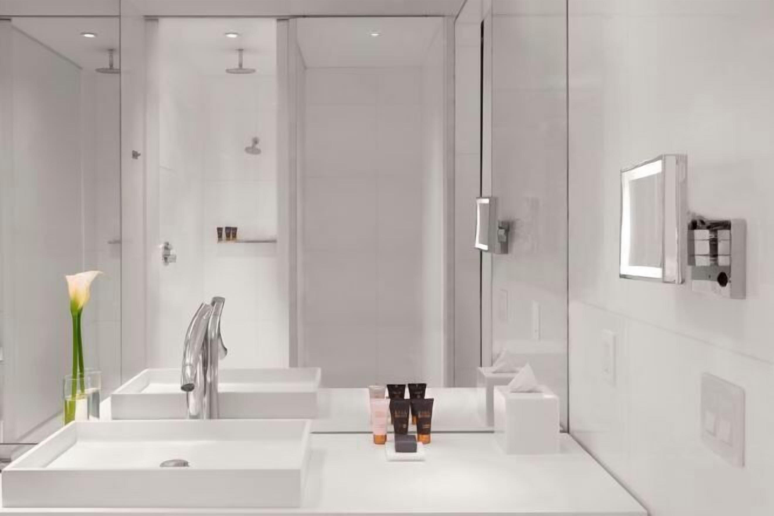 Dusche, Regendusche, Designer-Toilettenartikel, Haartrockner