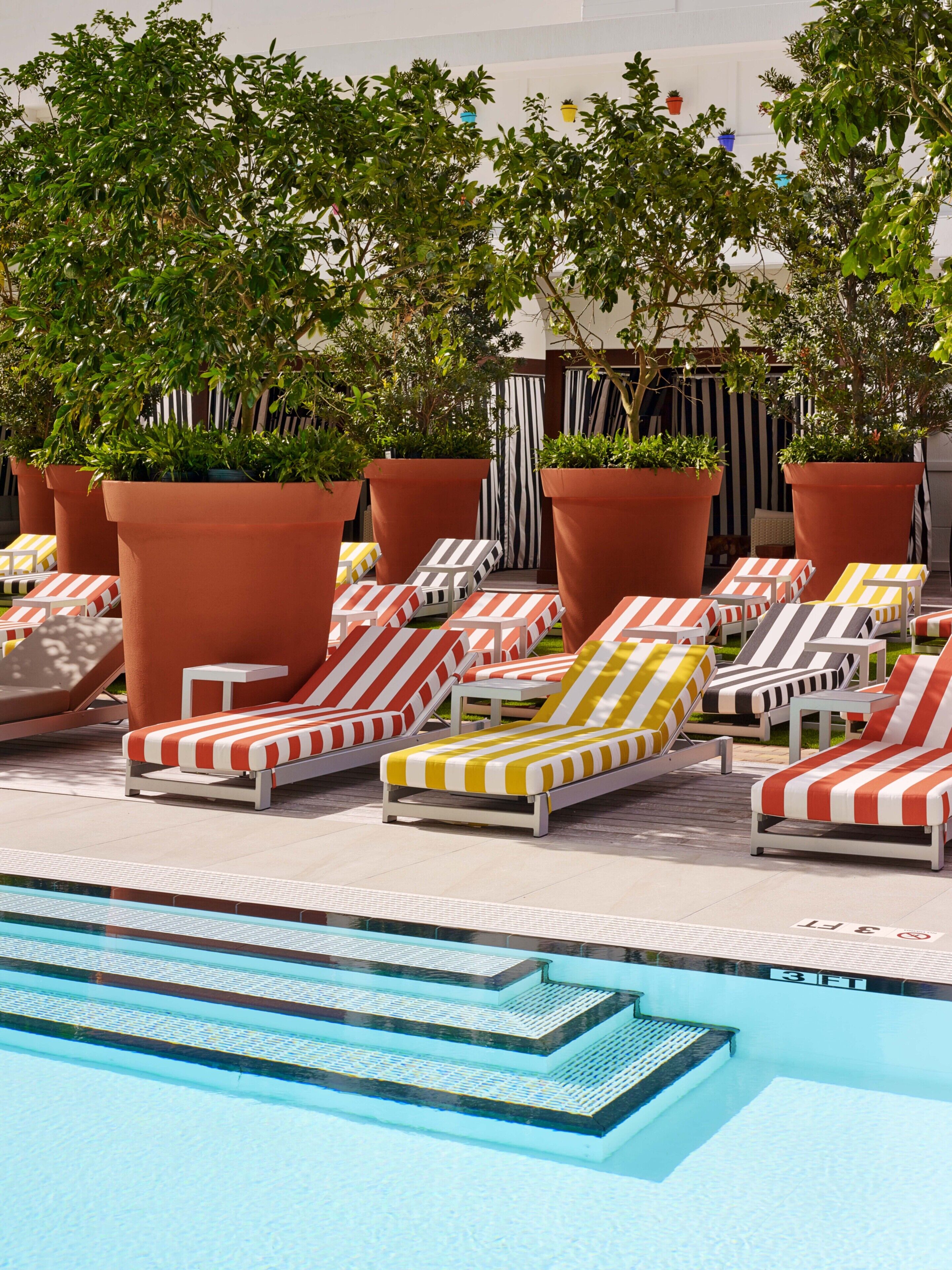 A poolside area with multiple lounge chairs and large potted plants.