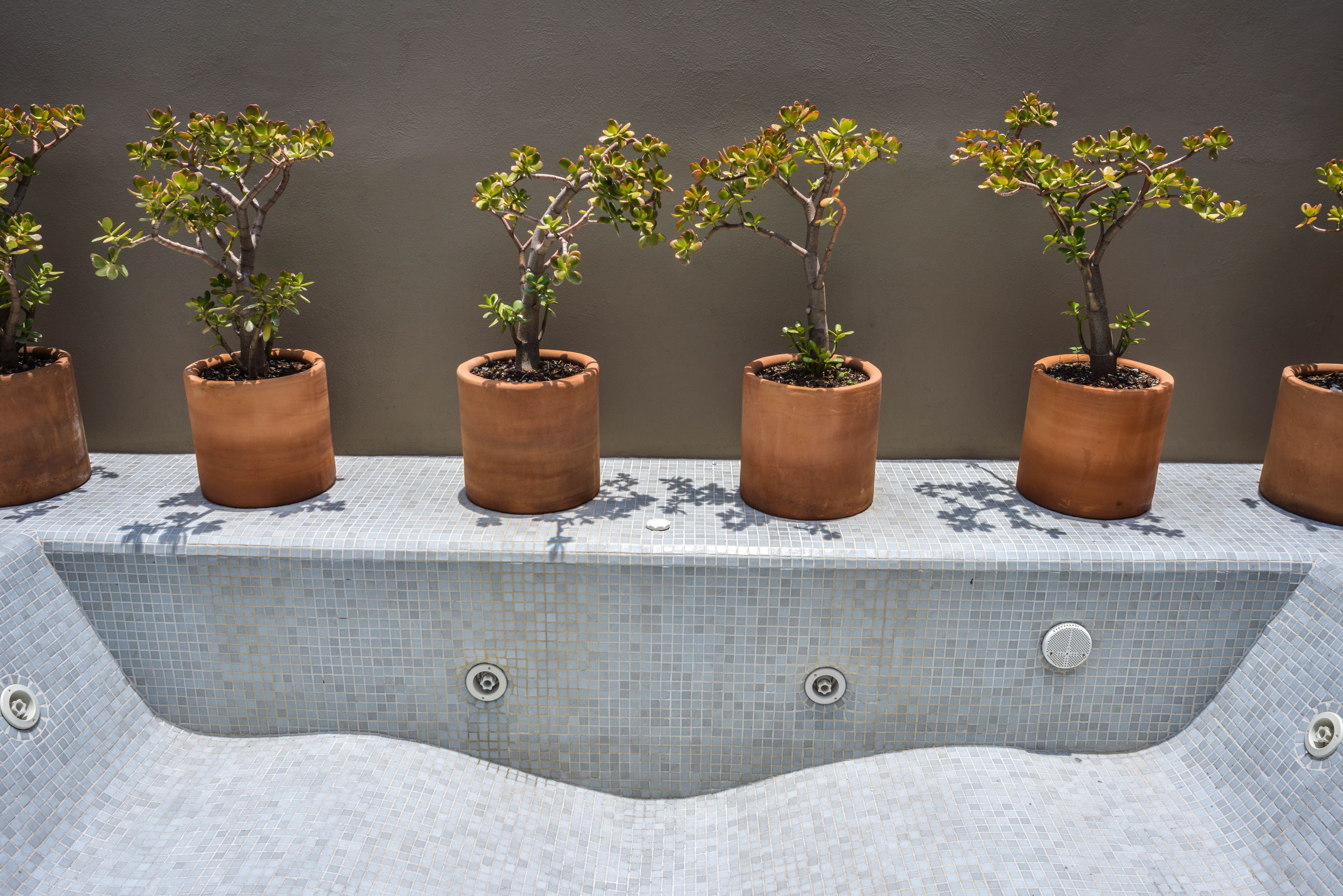 suite con jacuzzi (interior o exterior) | terrace/patio